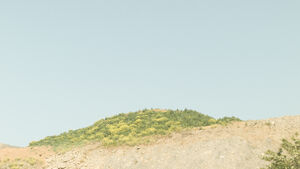 A photo of a hill of stone rubble and earth, with grasses and flowers growing on top, in front of a clear blue sky.