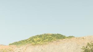 A photo of a hill of stone rubble and earth, with grasses and flowers growing on top, in front of a clear blue sky.